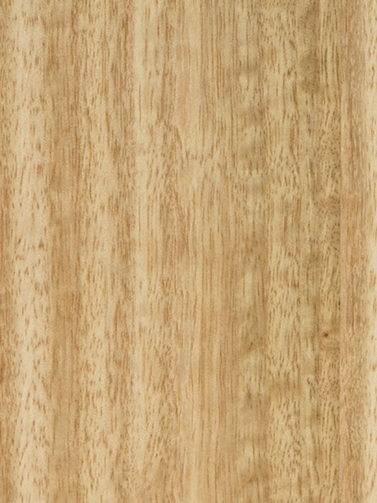 Eucalyptus Q/C